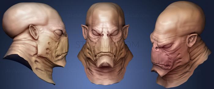 3D model Head Sculpt 2 (STL)